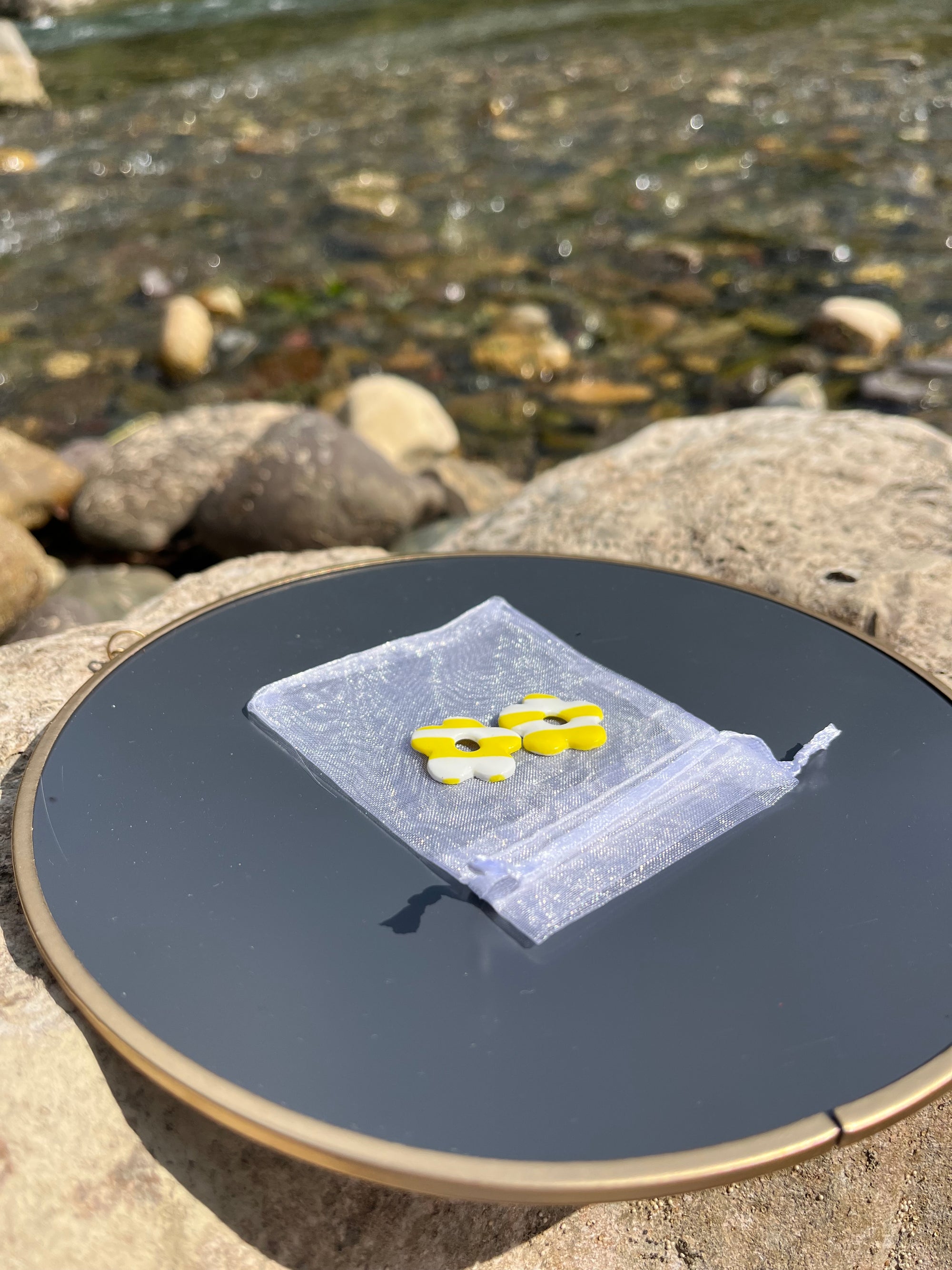 ☀️ Pampilles "Sunny Pop"