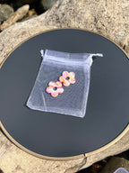 🍑 Pampilles "Sorbet Tropical"