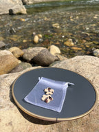 🐄 Pampilles "Choco Vanille"